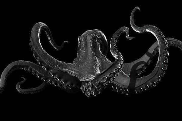 Kraken dark market