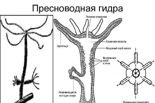 Ссылки онион