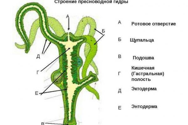 Kraken сайт зеркала krakens15 at