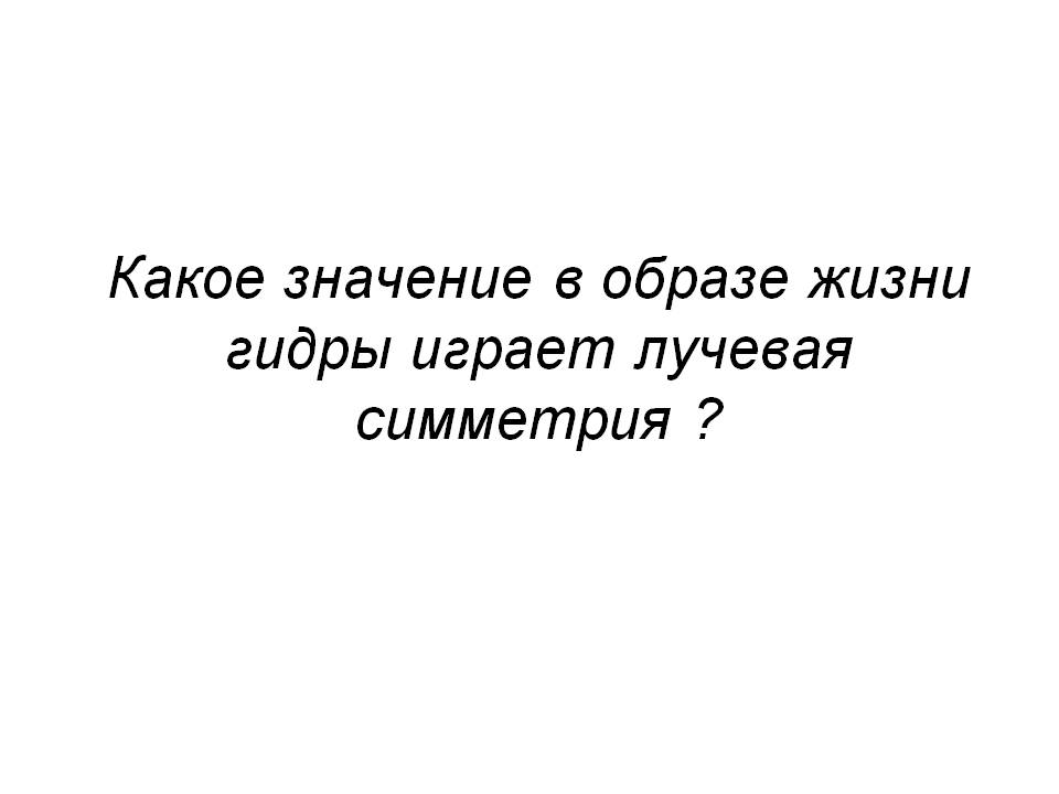 Как зарегистрироваться на сайте кракен